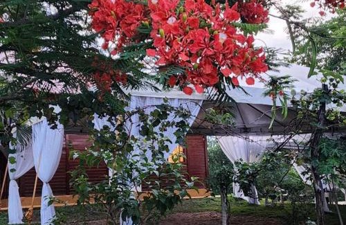 Tres Ranchos Casa | Recanto Áquila - Chalé de Madeira a beira do Lago