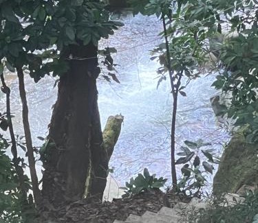 Mage Cabina | Recanto da Cachoeira RJ