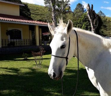 Pindamonhangaba Casa | Recanto do Ribeirão
