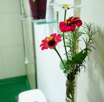 Gravatal Casa | Recanto EmmAnnEssência