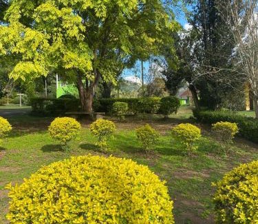 Goncalves Chalet De Esquí | RECANTO FLORES DA MONTANHA- via fácil ASFALTO, VISTA das Montanhas