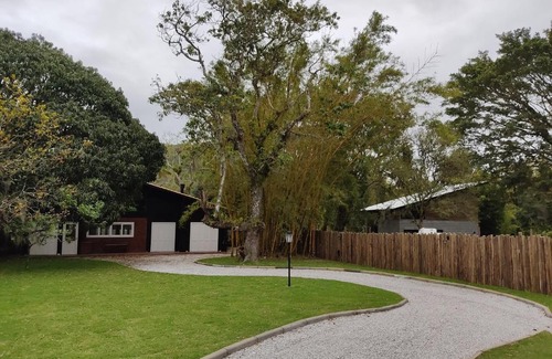 Ratones Casa | Recanto para relaxar com a natureza e os pássaros