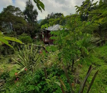 Urubici Apartamento | Recanto Plenitude chalet in the mountains