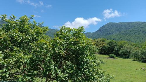 Alto Ribeirao Apartamento | RecantodoRibeirão