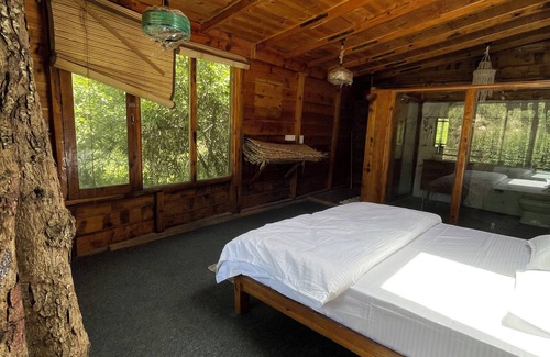 Mukteshwar Cabina | Reconnect with nature, heal your mind, body, and soul.