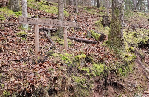 Lautenbach Apartamento | Recreation area in nature with history