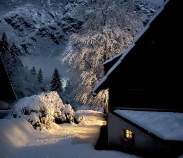 Ukanc Chalet De Esquí | Red Beech Cabin - Lake Bohinj & Triglav National Park retreat