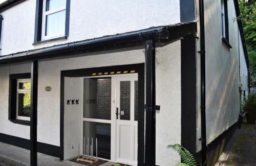 Whitland Casa | Red Kite