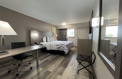 Lexington Hotel | Red Roof Inn Lexington South