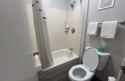 Lexington Hotel | Red Roof Inn Lexington South