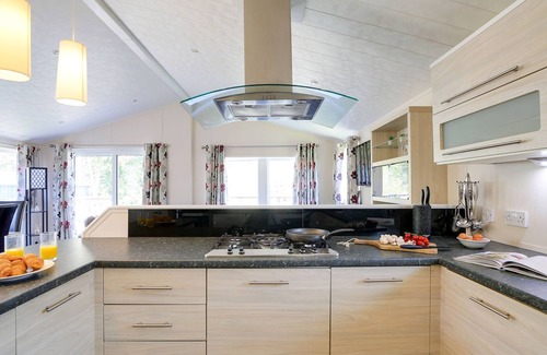 Wadebridge Cabina | Reduced rates for Aug @ Woodland Lodge St Minver, nr Rock, sleeps 6 dog friendly