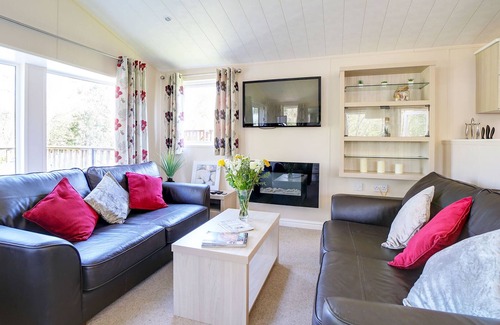 Wadebridge Cabina | Reduced rates for Aug @ Woodland Lodge St Minver, nr Rock, sleeps 6 dog friendly