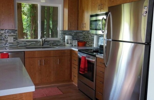 Monte Rio Casa | Redwood Butterfly Cabin Riverfront Private Island Canoa de temporada incluida