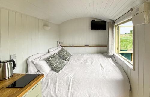 Haddiscoe Casa | Reed View