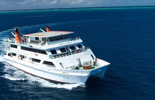 Cairns Central Business District Alquiler De Eote | Reef Encounter