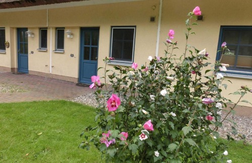Puddemin Casa | Reetdachhaus Malve 3 im Feriendorf Puddeminer Wiek