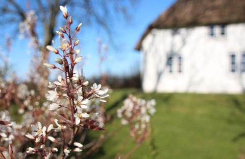 Poppenbull Casa | Reetdachhaus-Poppenbüll
