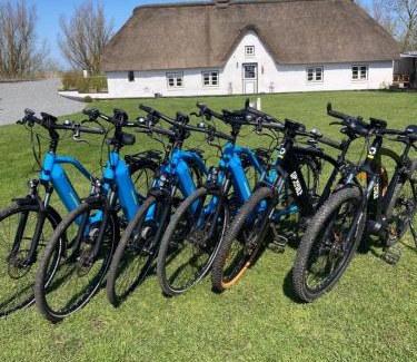 Augustenkoog Casa | Reetdachhaus, Sauna, E-Bikes, 6 Personen
