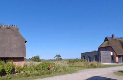 Nieby Casa | Reetdorf Geltinger Birk Malerhaus Wollgras