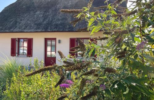 Zierow Casa | Reethaus "Lütt Seeadler"