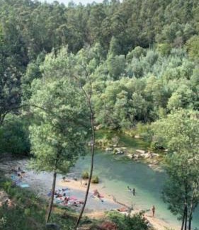 Parada de Bouro Apartamento | Refúgio da Carvalha