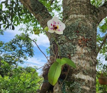 Chapada dos Guimaraes Casa | Refúgio junto a natureza
