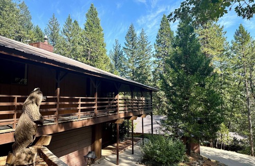 Trinity County Casa | Reflection Point Retreat