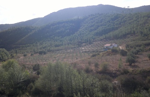 Montes da Senhora Casa | REFRIGO DEL RAPOSO / CASA DE LA RIBEIRA (AGROTURISMO)