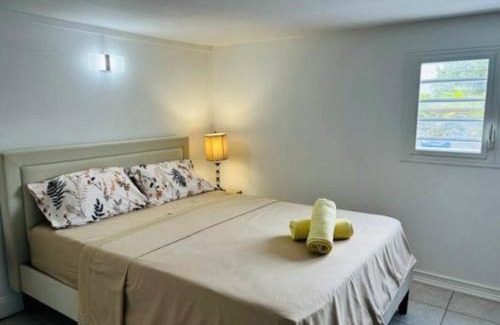 Ducos Apartamento | Refuge PêBê Joli logement au coeur d'un immense jardin tropical