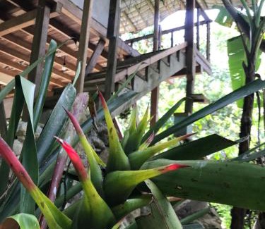 San Carlos Casa | Refugio Cumaná