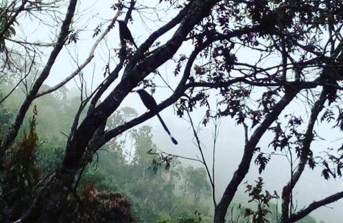 Los Nomos Chalet De Esquí | Refugio en las Nubes
