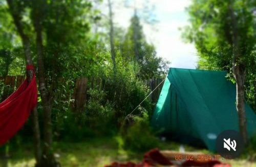 El Bolsón Otro | Refugio Holístico Flora Boreal