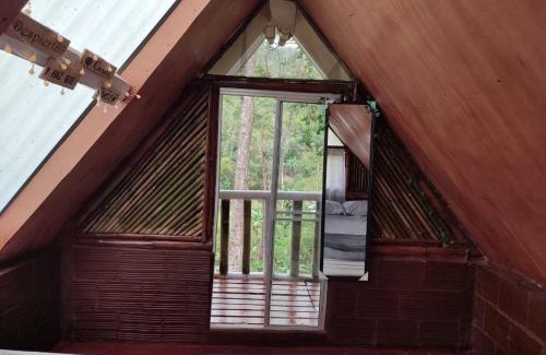 El Colegio Otro | Refugio los naranjales
