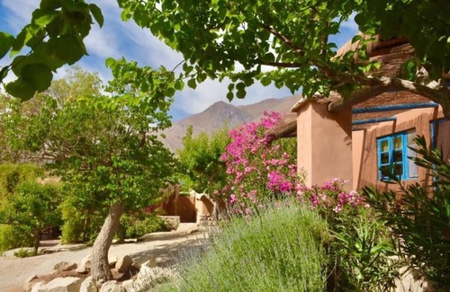 Pisco Elqui Cabina | Refugio Misterios del Elqui
