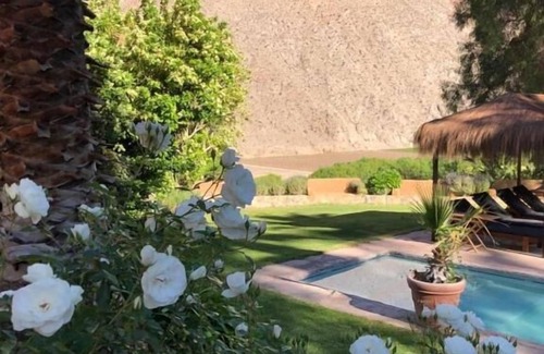 Pisco Elqui Cabina | Refugio Misterios del Elqui