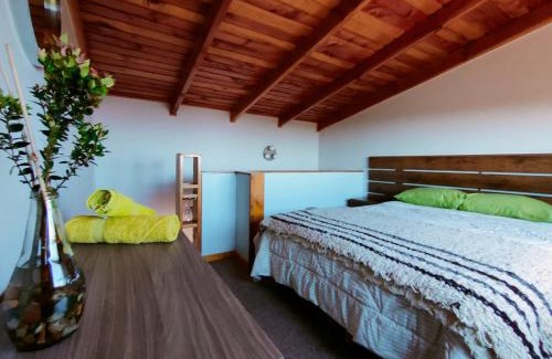 Valdivia Apartamento | Refugio Trafwe