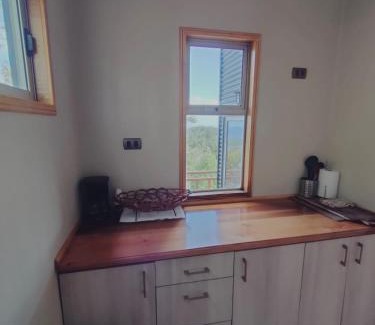Valdivia Apartamento | Refugio Trafwe