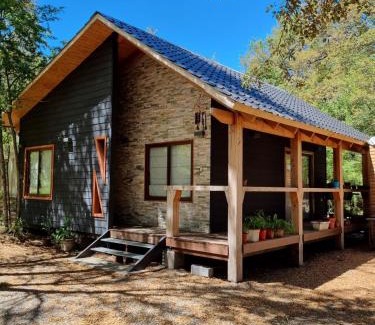 Pinto Chalet De Esquí | Refugio Vacacional II - Las Trancas - RENTCOVAC