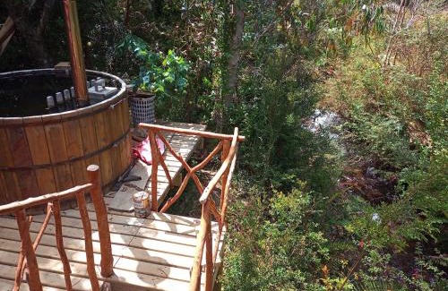 Valdivia Otro | Refugio y Tinaja Curiñanco
