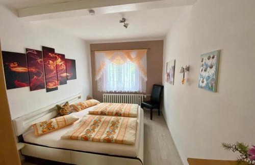 Zella-Mehlis Apartamento | Regenbergblick