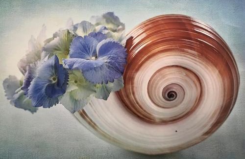 Fiskardo Apartamento | Reginas Studios & Apartments- Blue Flower apartment