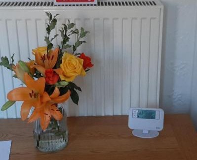 Wolverhampton Apartamento | Rehoboth House