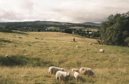 Lairg Casa | Reids Cottage