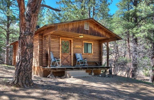 Weston Cabina | Rejuvenating bald eagle cabin with Shower Jacuzzi