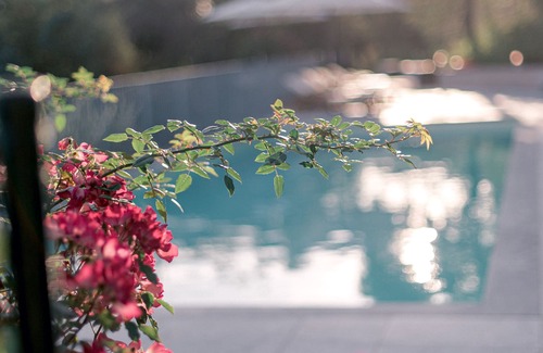 Montignoso Casa | Relais Montepepe Winery & Spa