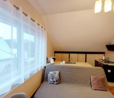 Karlowice Apartamento | Relaks w Wilczycach
