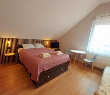 Karlowice Apartamento | Relaks w Wilczycach