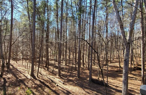 Big Canoe Casa | Relax and play in your forest get-away at Big Canoe