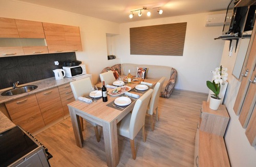 Brezice Apartamento | Relax and Rustic Apartments with Terrace - Standard One Bedroom Apartment with Terrace