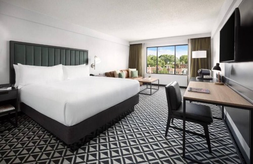 Brookline Hotel | Relax in Comfortable Room Amidst Boston’s Urban Vibe! Dining Onsite!